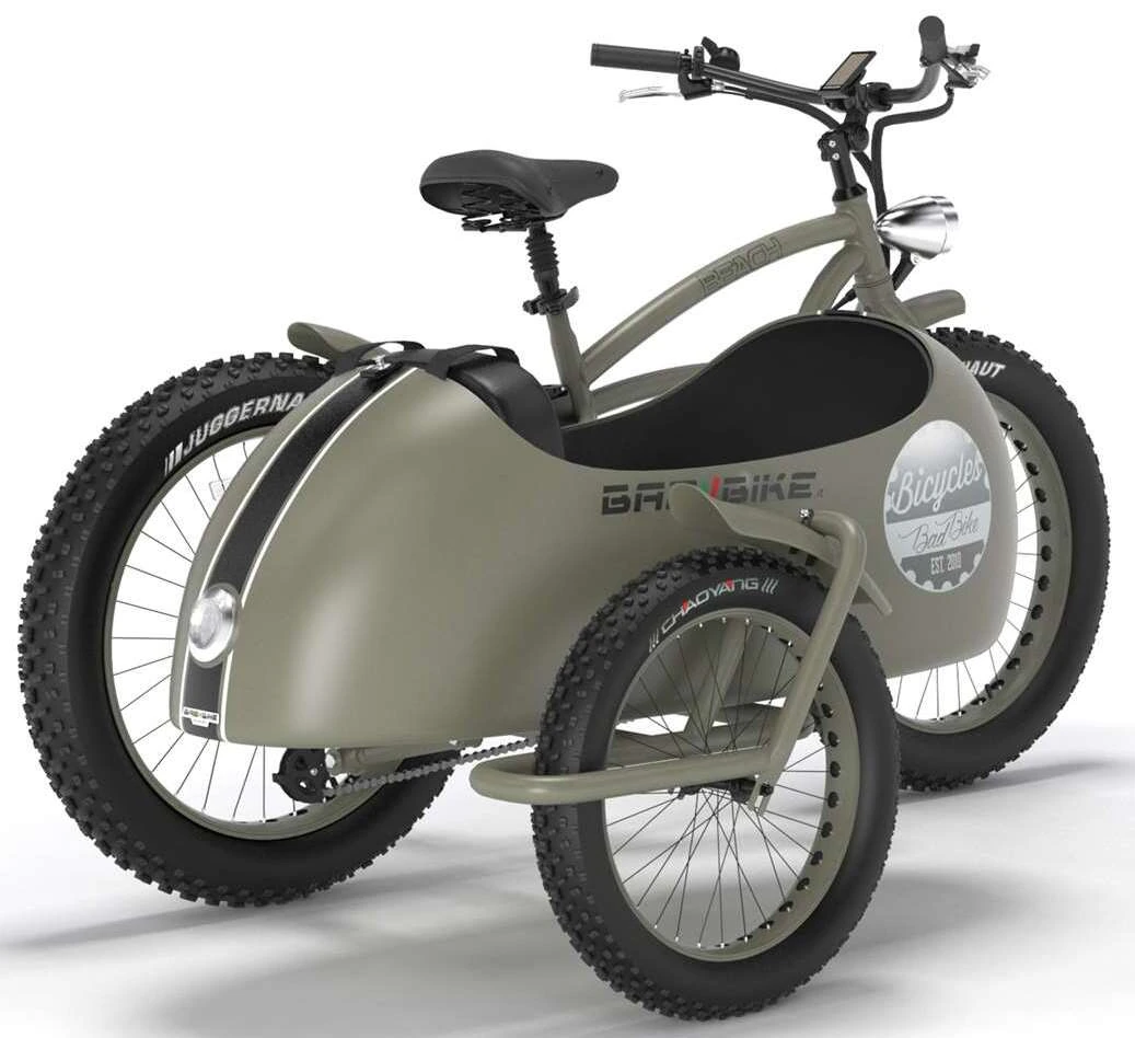 Elektrische Fatbike Zijspan Speed Pedelec 45 km Bad Bike 500W Groen